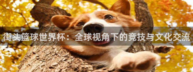 世界杯官网入口:街头篮球世界杯:全球视角下的竞技与文化交流