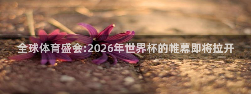 世界杯足球赛:全球体育盛会:2026年世界杯的帷幕即将拉开