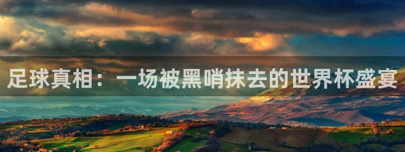 世界杯附加赛赛程表:足球真相:一场被黑哨抹去的世界杯盛宴