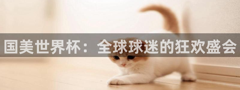 欧联杯直播:国美世界杯:全球球迷的狂欢盛会
