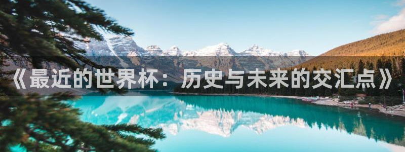 足球比分直播世界杯:《最近的世界杯:历史与未来的交汇点》