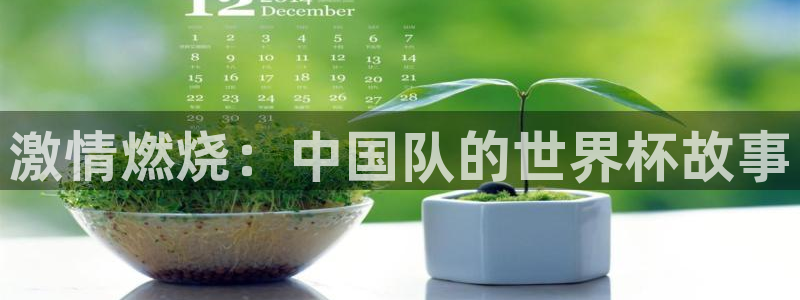 2026世界杯直播免费观看:激情燃烧:中国队的世界杯故事