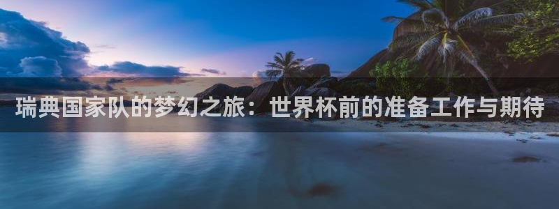 世界杯欧洲预选赛赛程:瑞典国家队的梦幻之旅:世界杯前的准备工作与期待