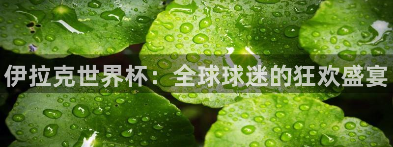 2026世界杯欧洲预选赛赛程表:伊拉克世界杯:全球球迷的狂欢盛宴