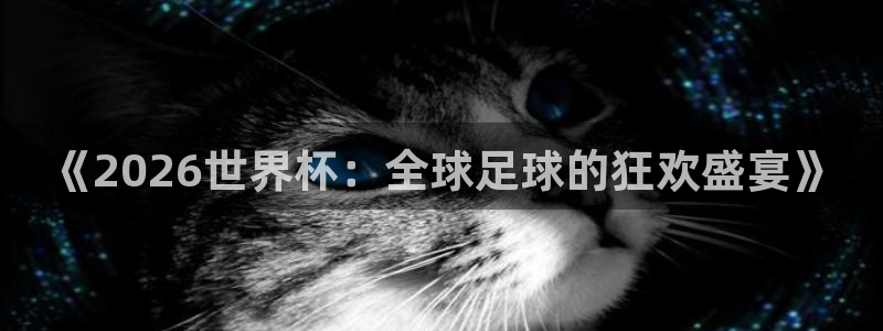 2026年世界杯对阵图:《2026世界杯:全球足球的狂欢盛宴》
